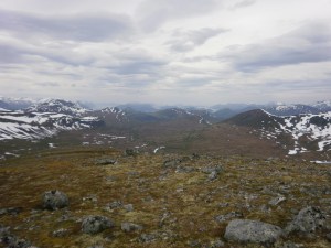 På Steinsmørhylla III