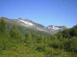 Tur på Grytavasstinden