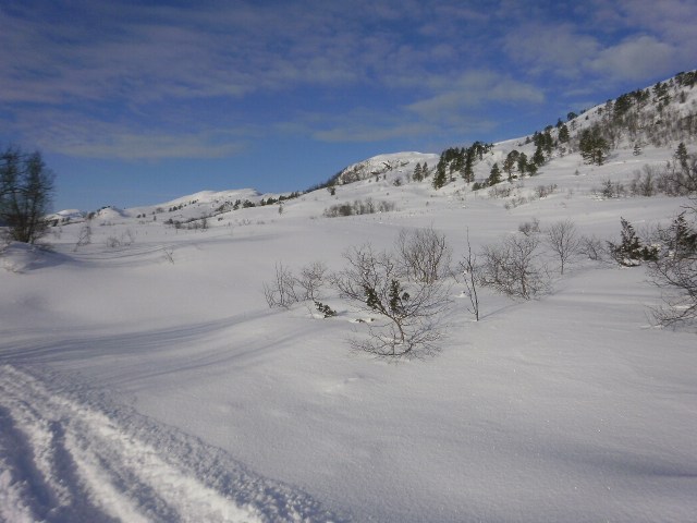 Innpå Kjersemfjellet
