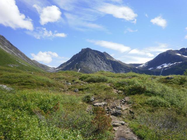 Nedafor Grytavatnet II