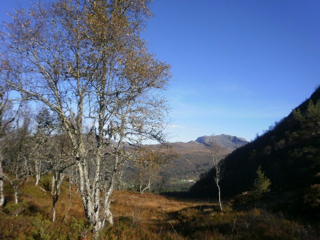 Oktobertur til Halvardfjellet II