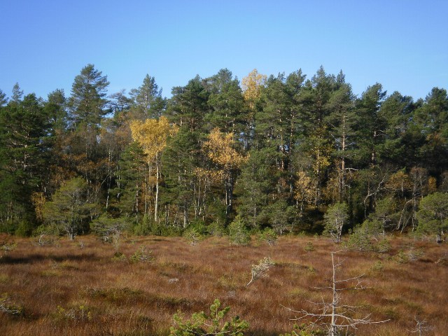 Oktobertur til Halvardfjellet III
