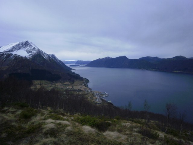 Vartdalsfjorden