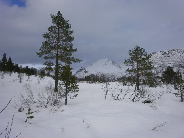 Innpå Vaksvikfjellet