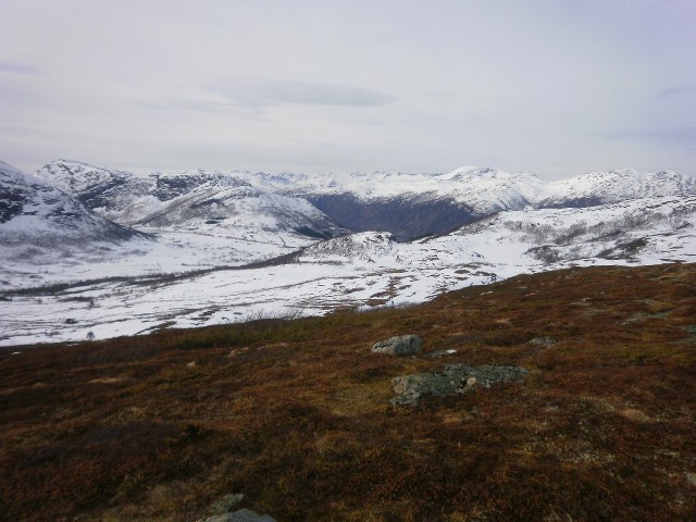 På ski til Skurfjellet