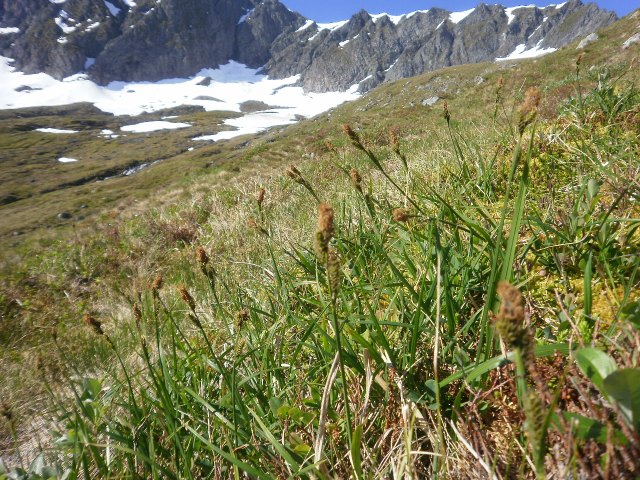 Storr oppafor Åvatnet